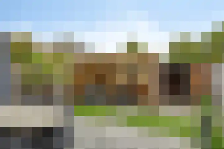 Kraaijenberg 8371 Wijchen thumbnail 18