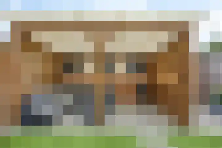 Kraaijenberg 8371 Wijchen thumbnail 19