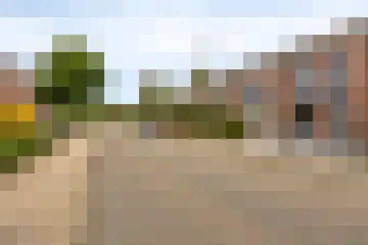 Kraaijenberg 8371 Wijchen thumbnail 21