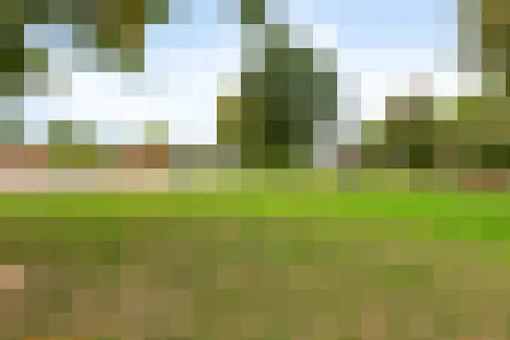 Kraaijenberg 8371 Wijchen thumbnail 23