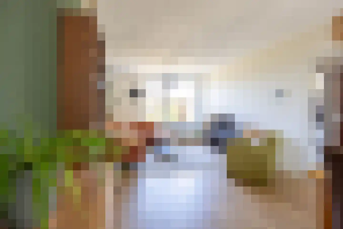Kraaijenberg 8513 Wijchen thumbnail 8