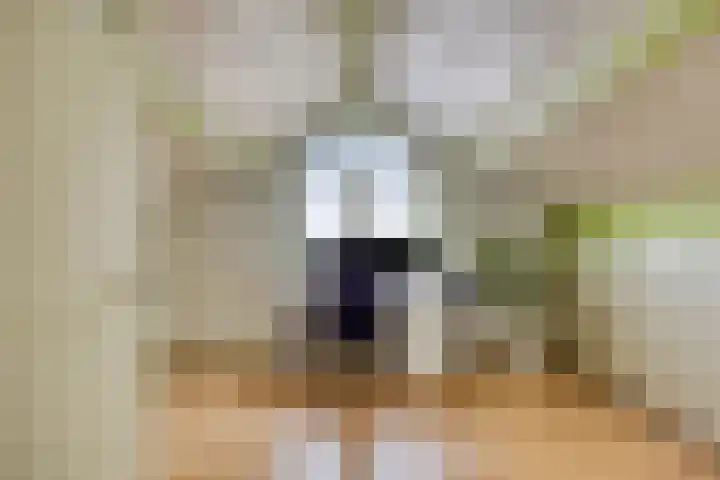 Kraaijenberg 9239 Wijchen thumbnail 22