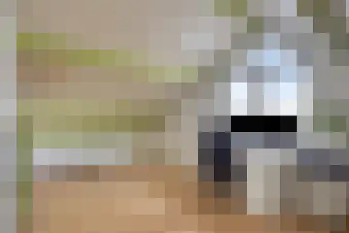 Kraaijenberg 9239 Wijchen thumbnail 23