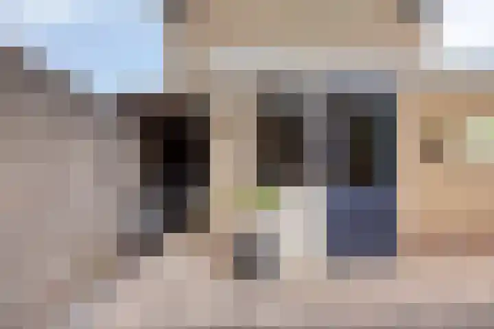 Kraaijenberg 9239 Wijchen thumbnail 27