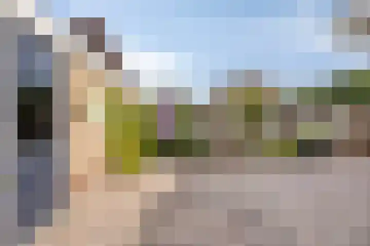 Kraaijenberg 9239 Wijchen thumbnail 28