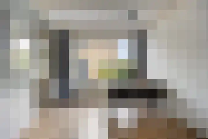 Kraaijenberg 9239 Wijchen thumbnail 5