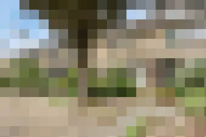 Kraaijenberg 9309 Wijchen thumbnail 28