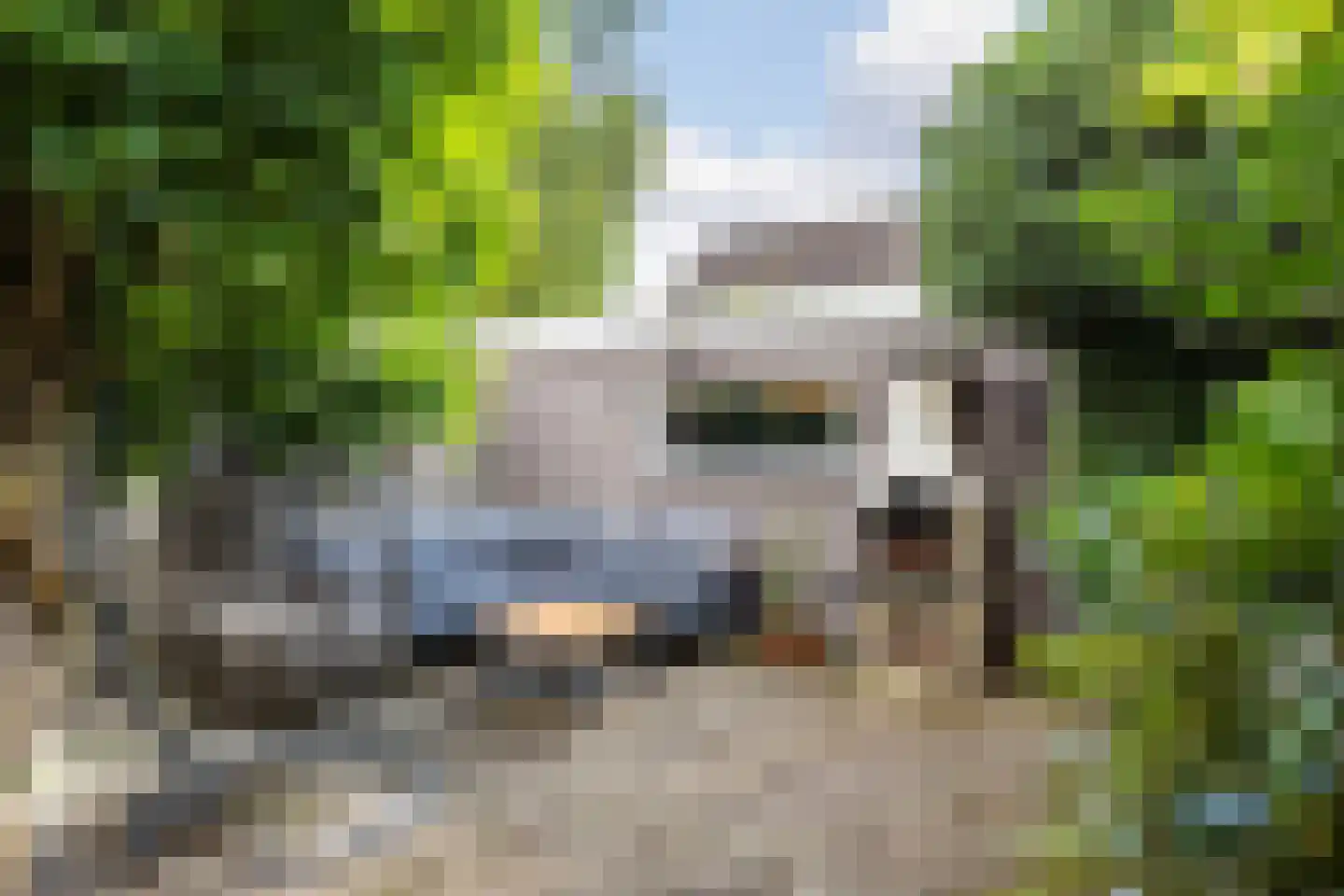 Kraaijenberg 9314 Wijchen thumbnail 14