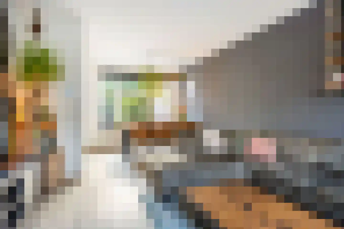 Kraaijenberg 9314 Wijchen thumbnail 5