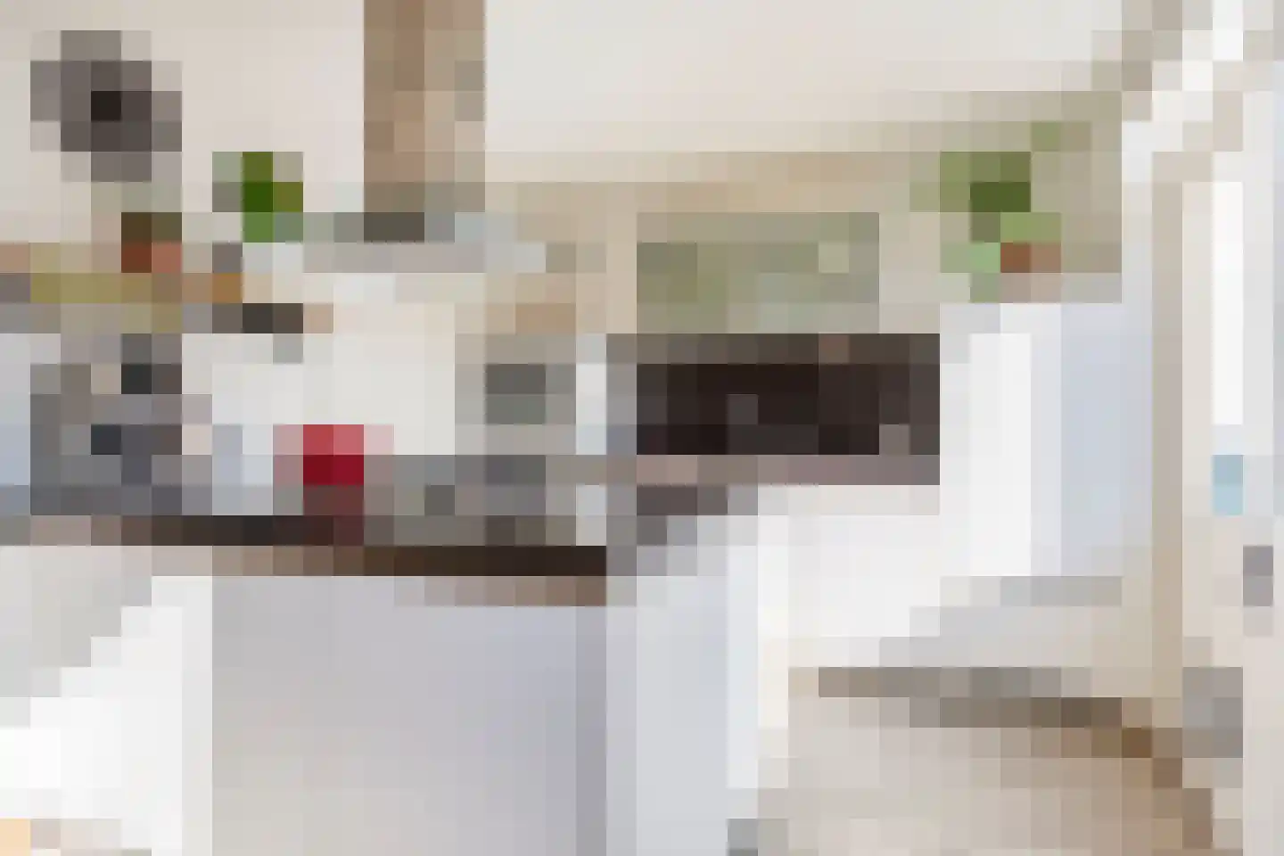Kraaijenberg 9314 Wijchen thumbnail 8