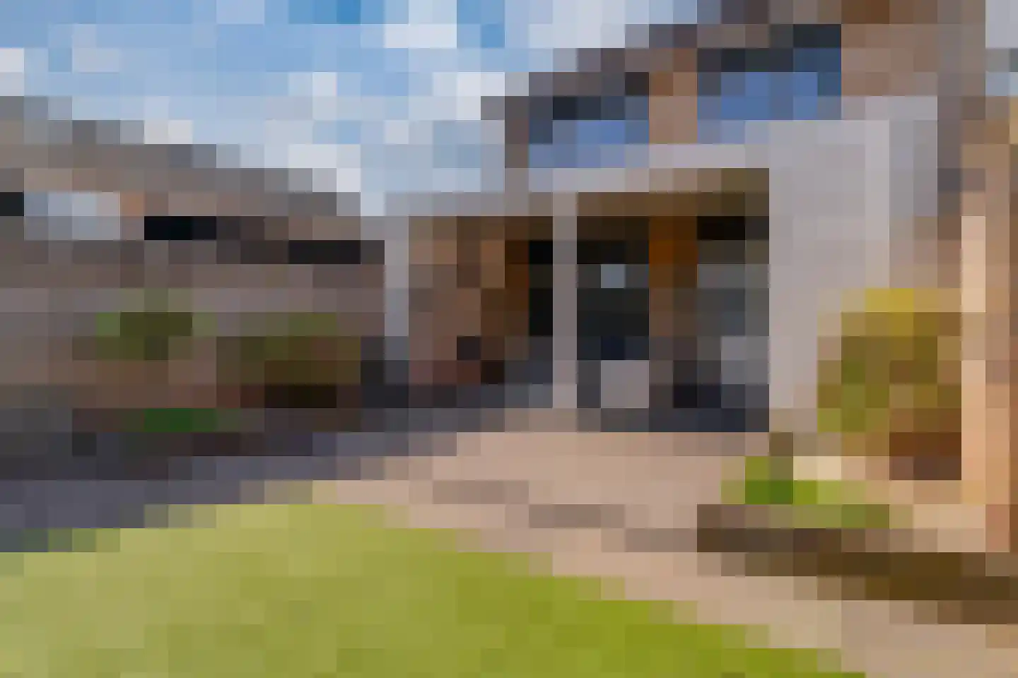Kraaijenberg 9502 Wijchen thumbnail 10