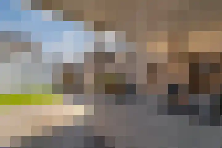 Kraaijenberg 9502 Wijchen thumbnail 11