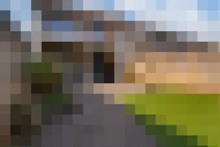 Kraaijenberg 9502 Wijchen thumbnail 14