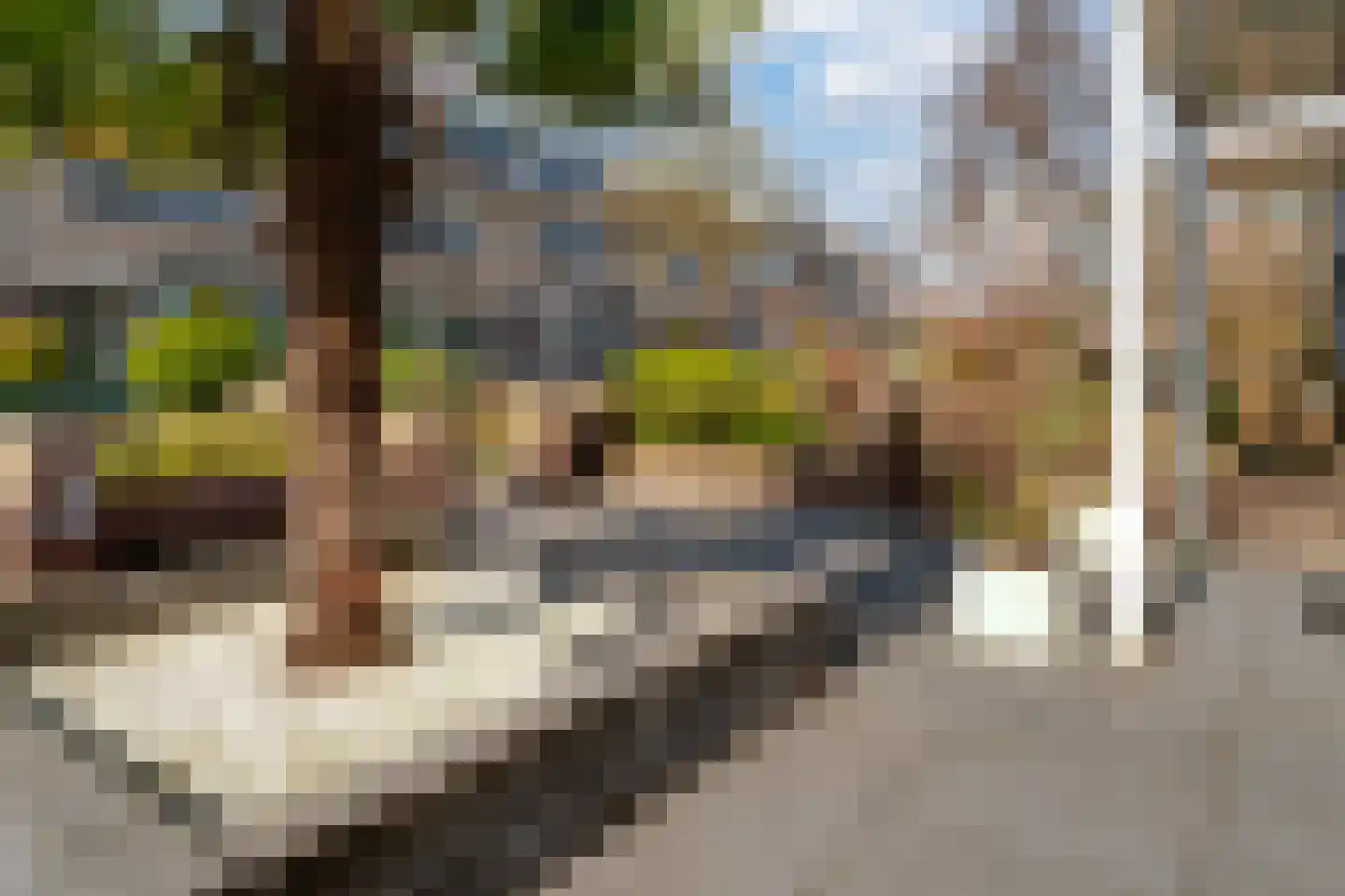 Kraaijenberg 9502 Wijchen thumbnail 27