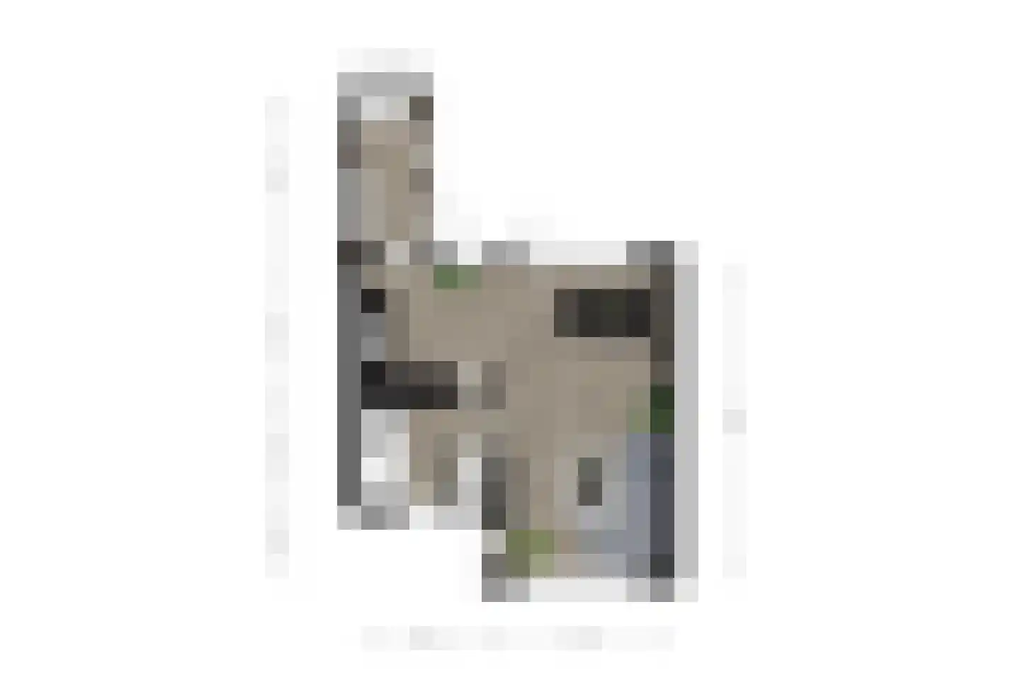 Kraaijenbergstraat 11 Hattem thumbnail 31