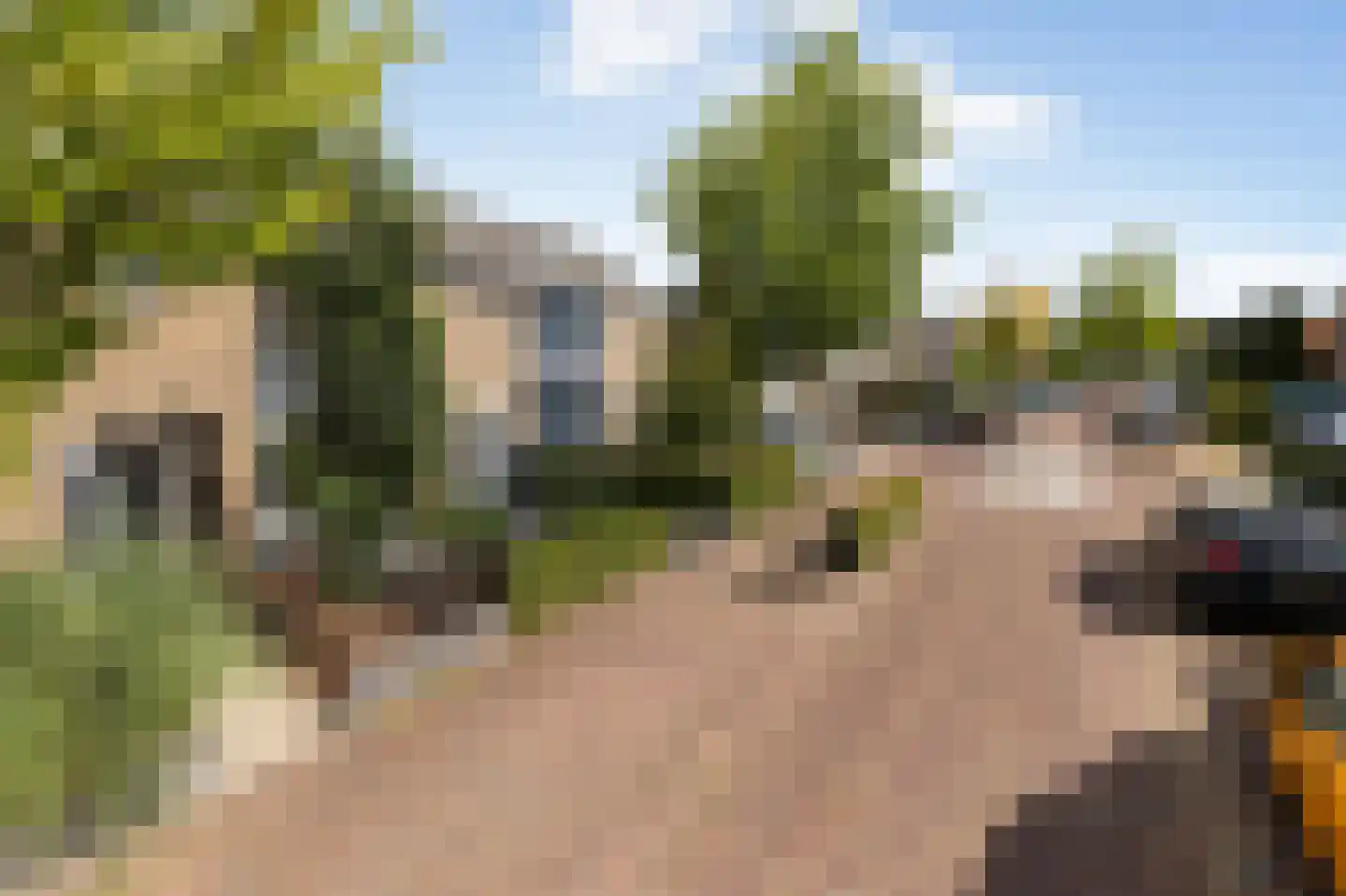 Kraaijenbergstraat 28 Hattem thumbnail 4