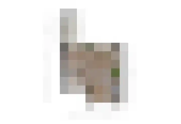 Kraaijenbergstraat 7 Hattem thumbnail 30