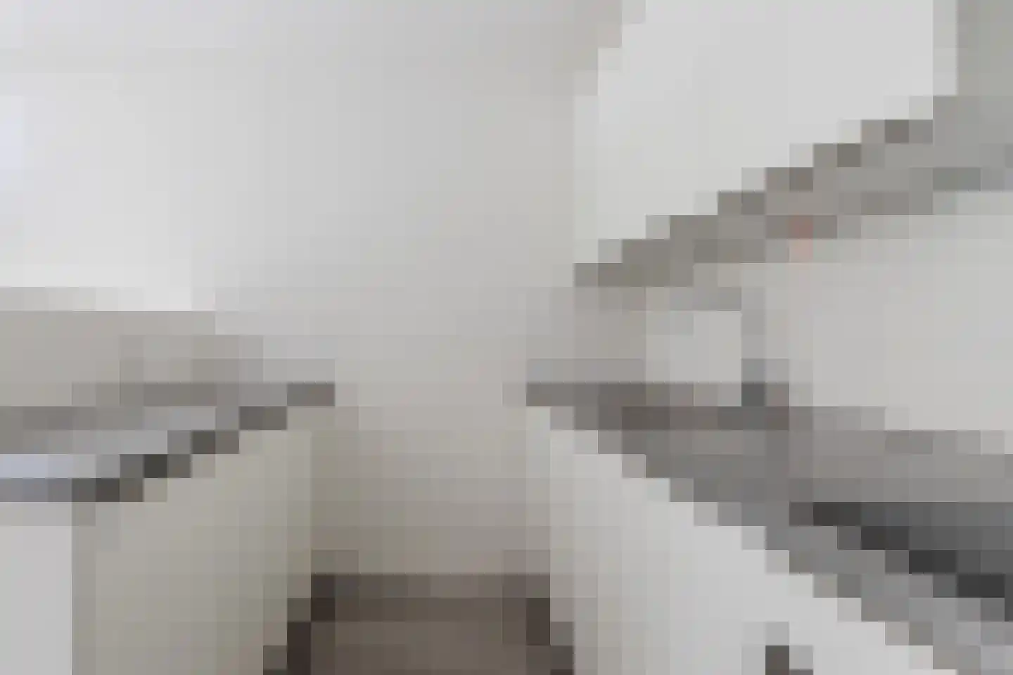 Kraaijenkampzoom 50 Koog aan de Zaan thumbnail 9