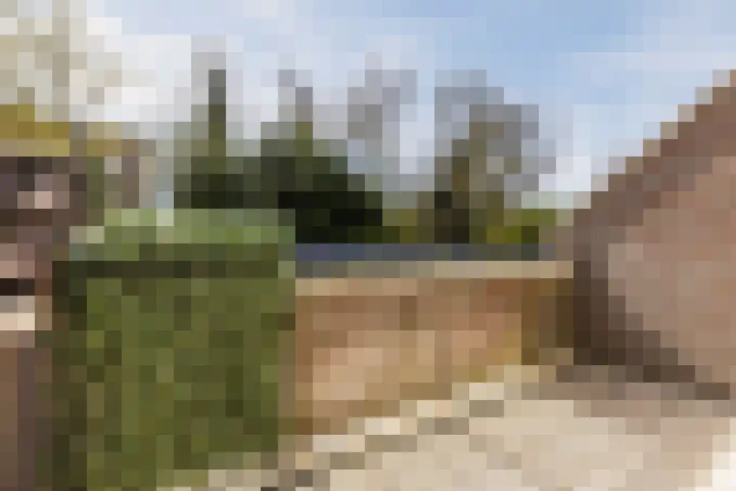 Kraaijenkampzoom 52 Koog aan de Zaan thumbnail 23