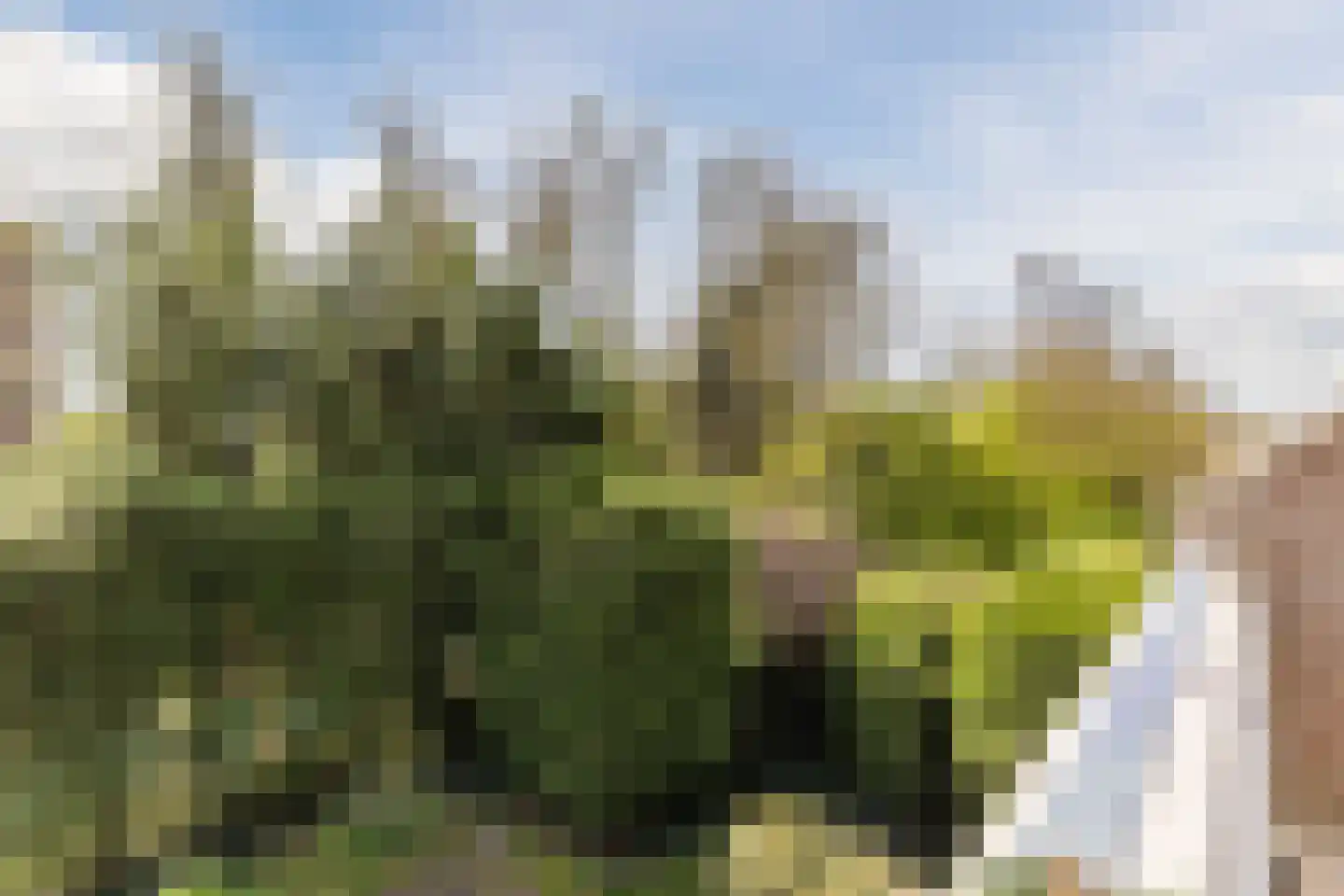 Kraaijenkampzoom 52 Koog aan de Zaan thumbnail 4