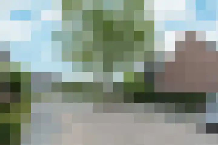 Kraaijenveld 63 Wijk en Aalburg thumbnail 67