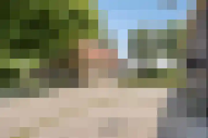 Kraaijerdijk 2 Melissant thumbnail 13