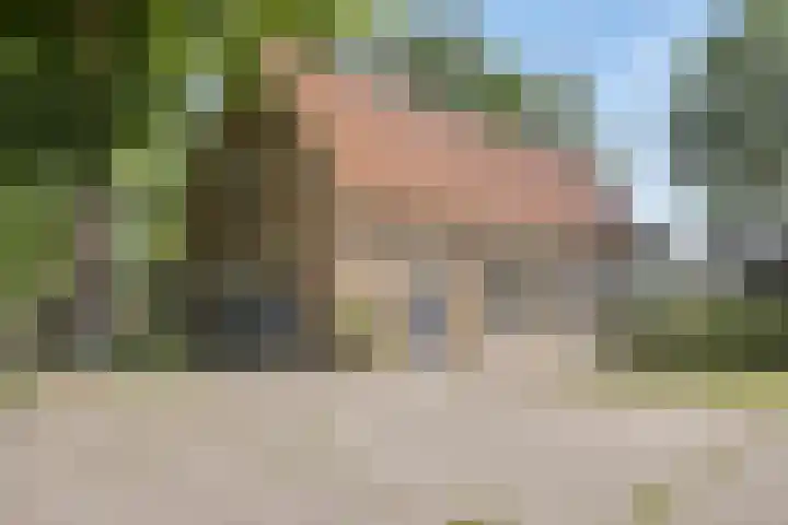 Kraaijerdijk 2 Melissant thumbnail 14