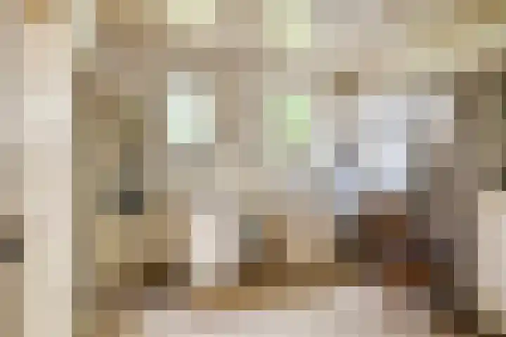 Kraaijerdijk 2 Melissant thumbnail 19