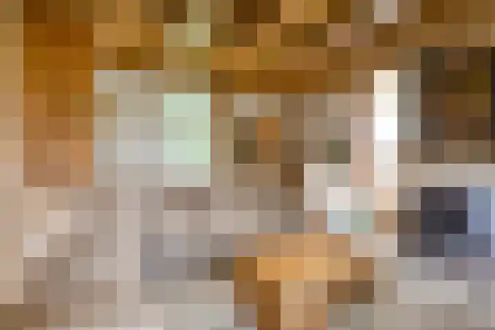 Kraaijerdijk 2 Melissant thumbnail 21