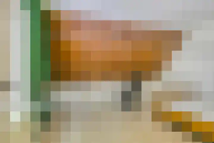Kraaijerdijk 2 Melissant thumbnail 26