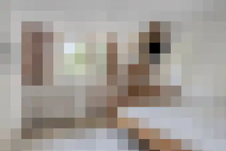 Kraaijerdijk 2 Melissant thumbnail 27