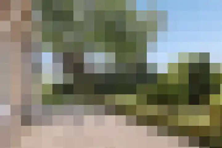 Kraaijerdijk 2 Melissant thumbnail 31