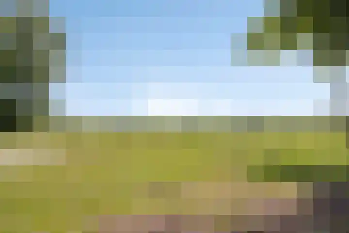 Kraaijerdijk 2 Melissant thumbnail 32