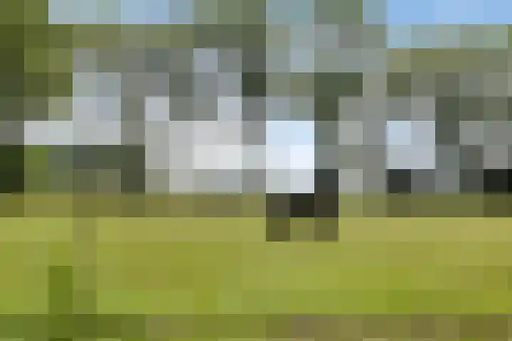 Kraaijerdijk 2 Melissant thumbnail 34