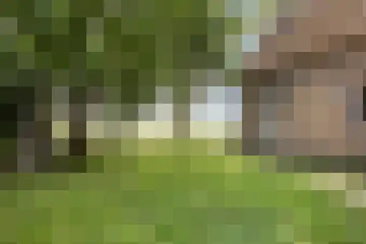 Kraaijerdijk 2 Melissant thumbnail 36