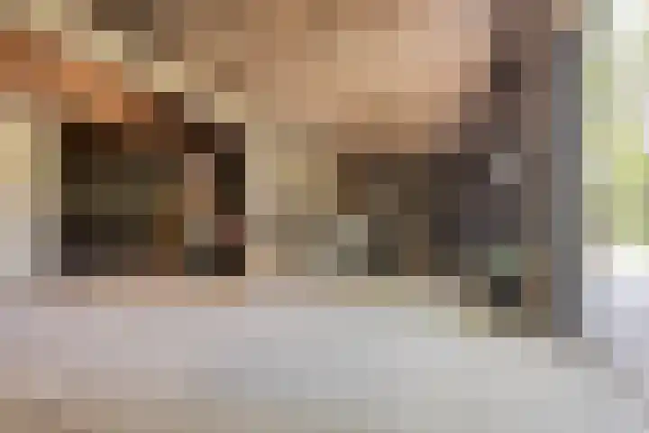 Kraaijerdijk 2 Melissant thumbnail 39