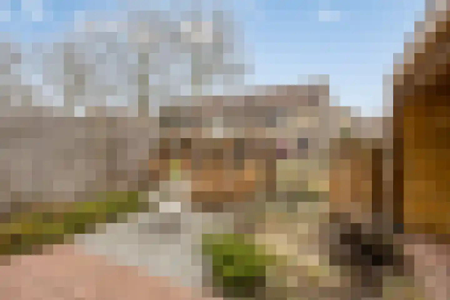 Kraaijesteijn 112 Honselersdijk thumbnail 12