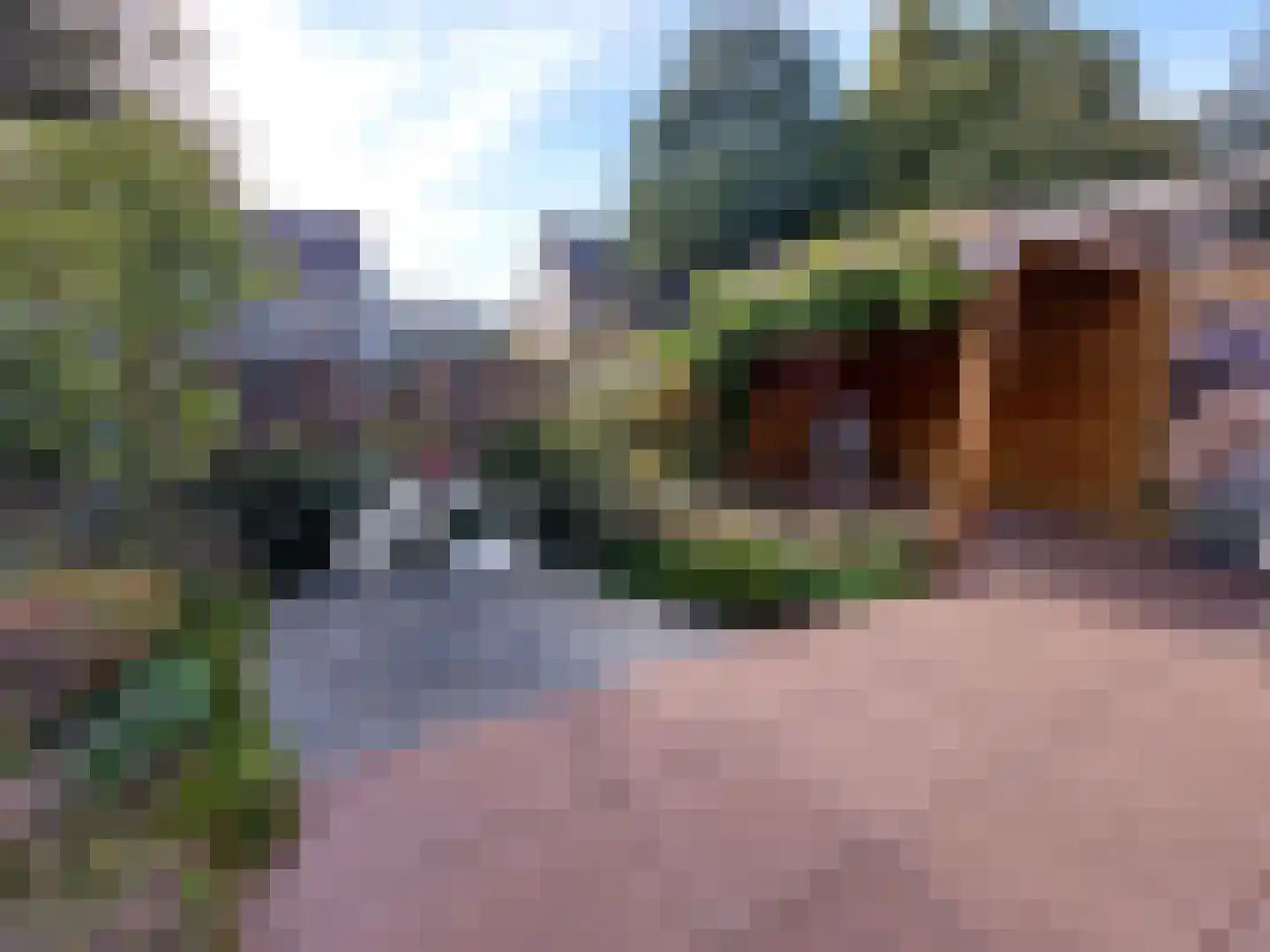 Kraaijesteijn 112 Honselersdijk thumbnail 13