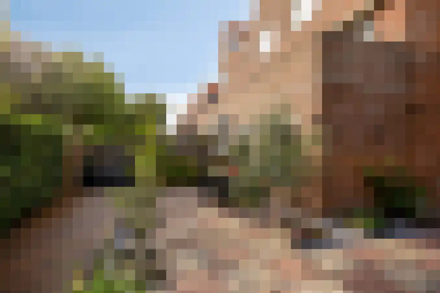 Kraaijesteijn 116 Honselersdijk thumbnail 16