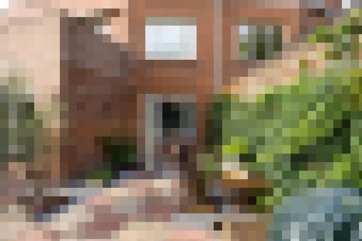 Kraaijesteijn 116 Honselersdijk thumbnail 17