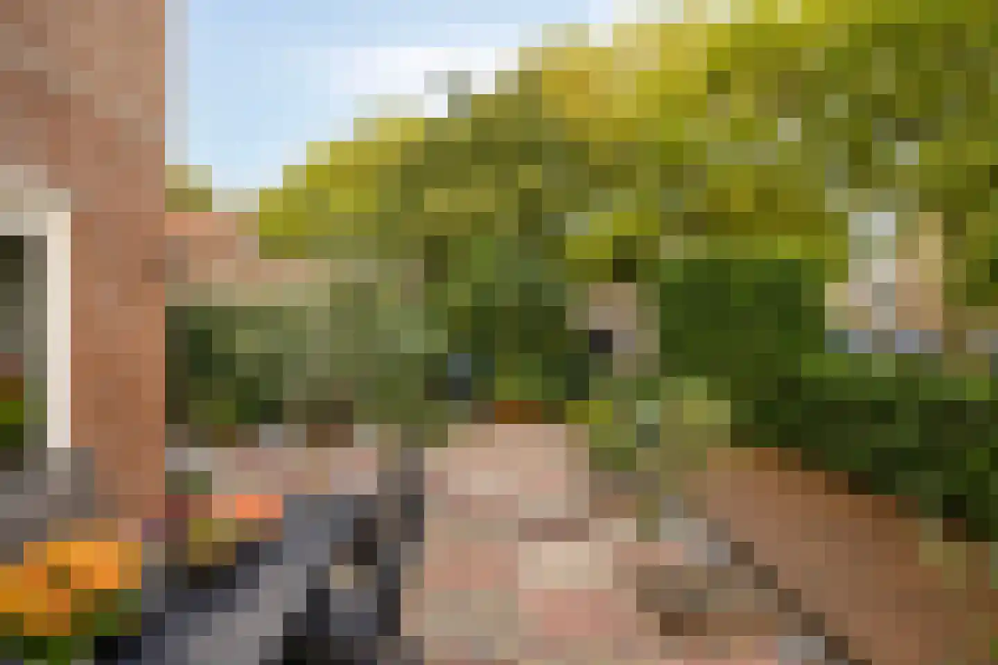 Kraaijesteijn 116 Honselersdijk thumbnail 18