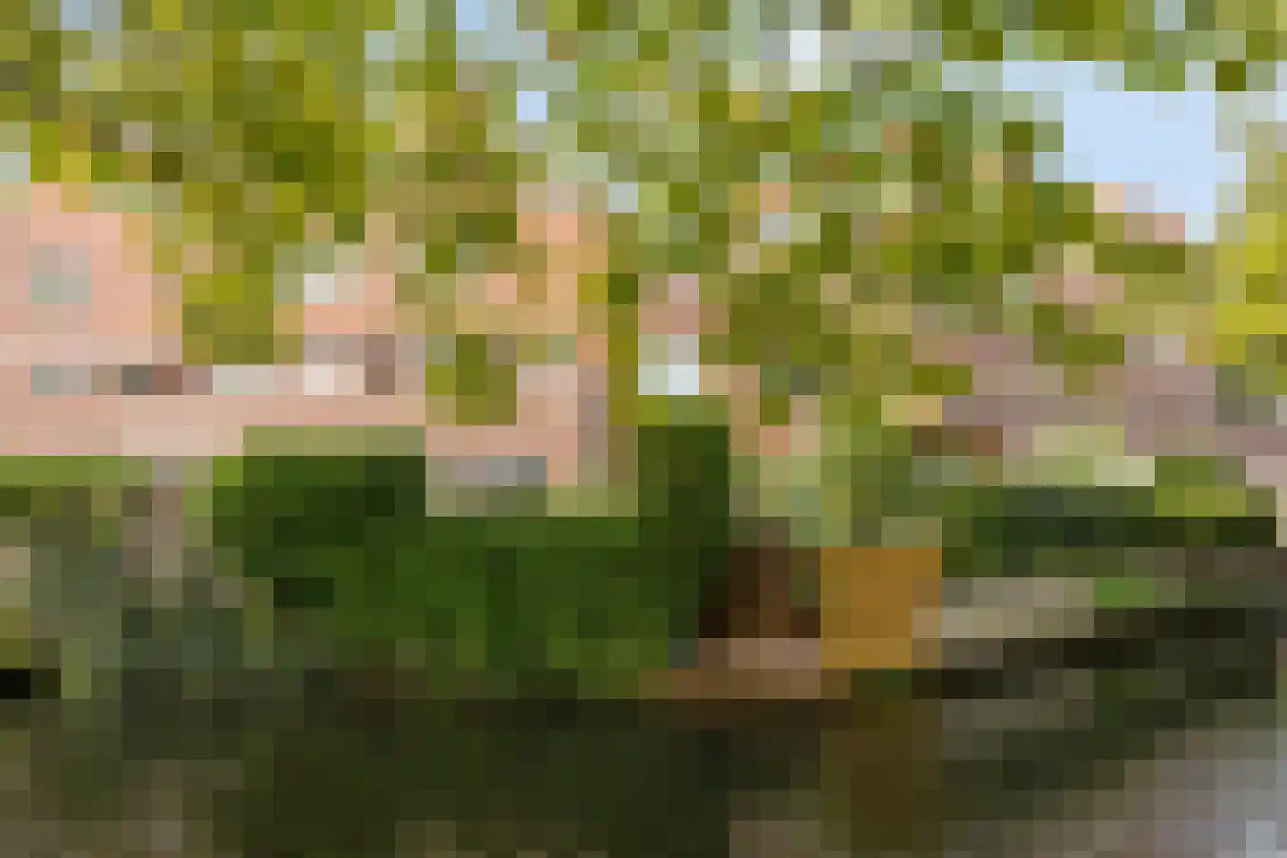 Kraaijesteijn 116 Honselersdijk thumbnail 23