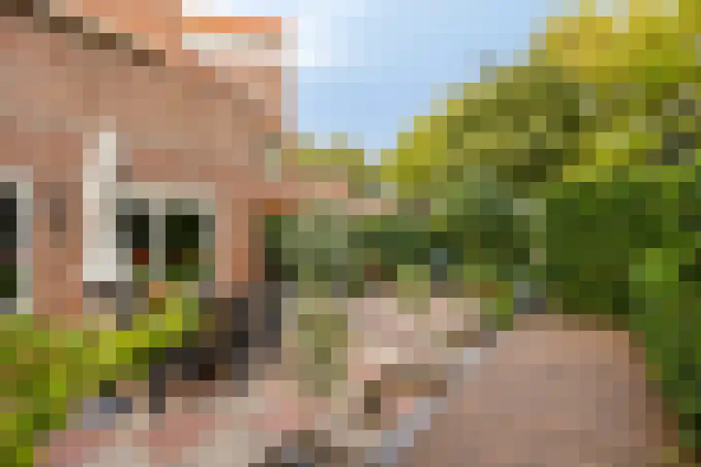 Kraaijesteijn 116 Honselersdijk thumbnail 4