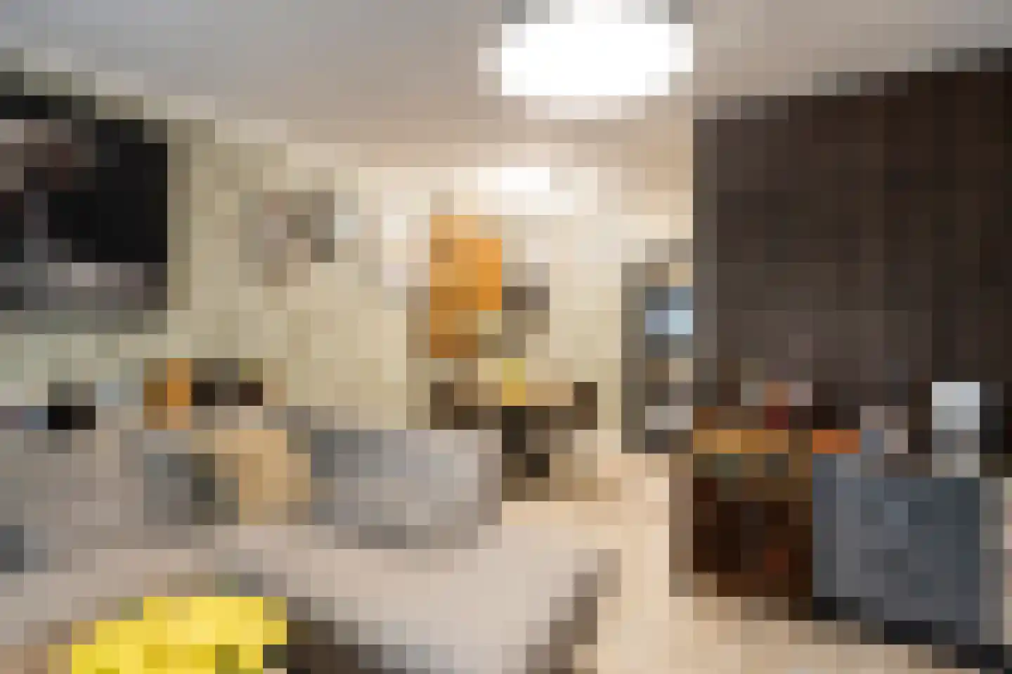 Kraaijesteijn 116 Honselersdijk thumbnail 7