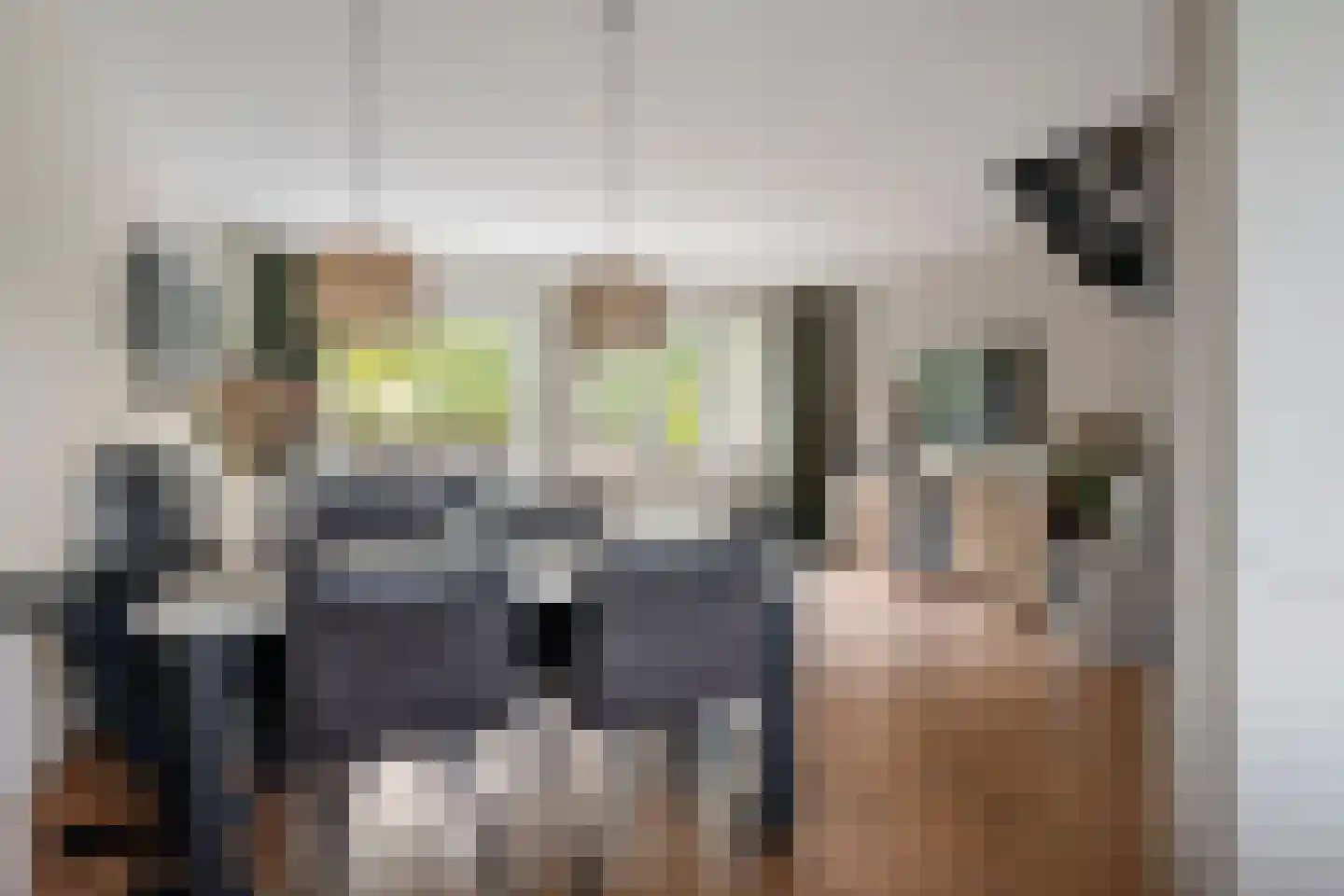 Kraaijesteijn 130 Honselersdijk thumbnail 10