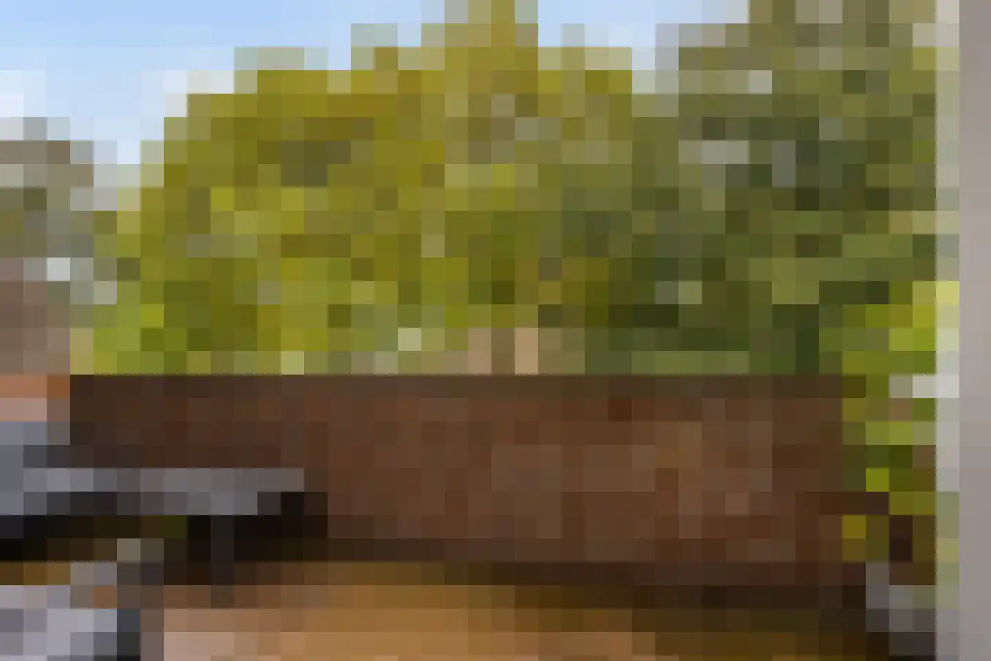 Kraaijesteijn 130 Honselersdijk thumbnail 11