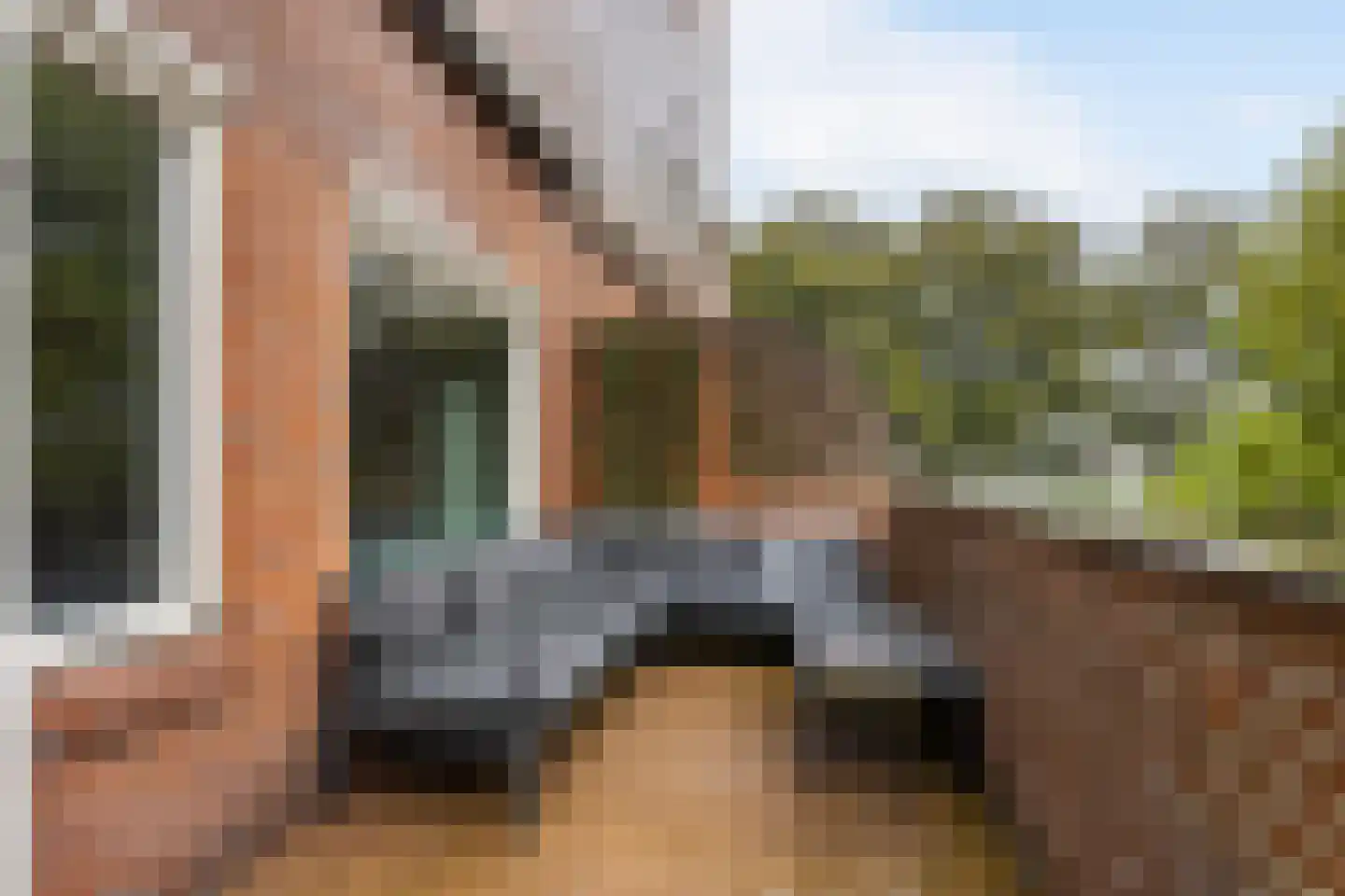 Kraaijesteijn 130 Honselersdijk thumbnail 13