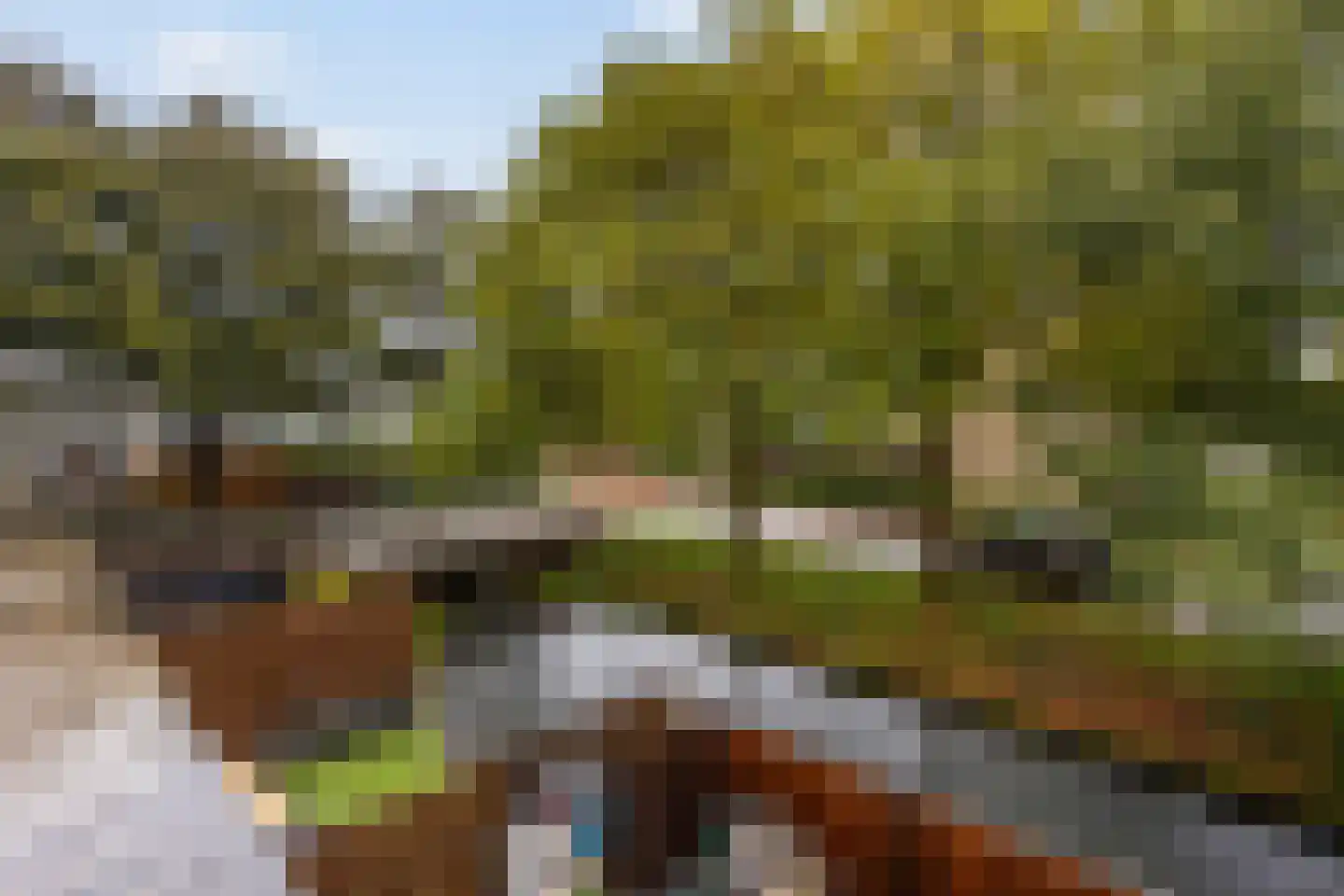 Kraaijesteijn 130 Honselersdijk thumbnail 15