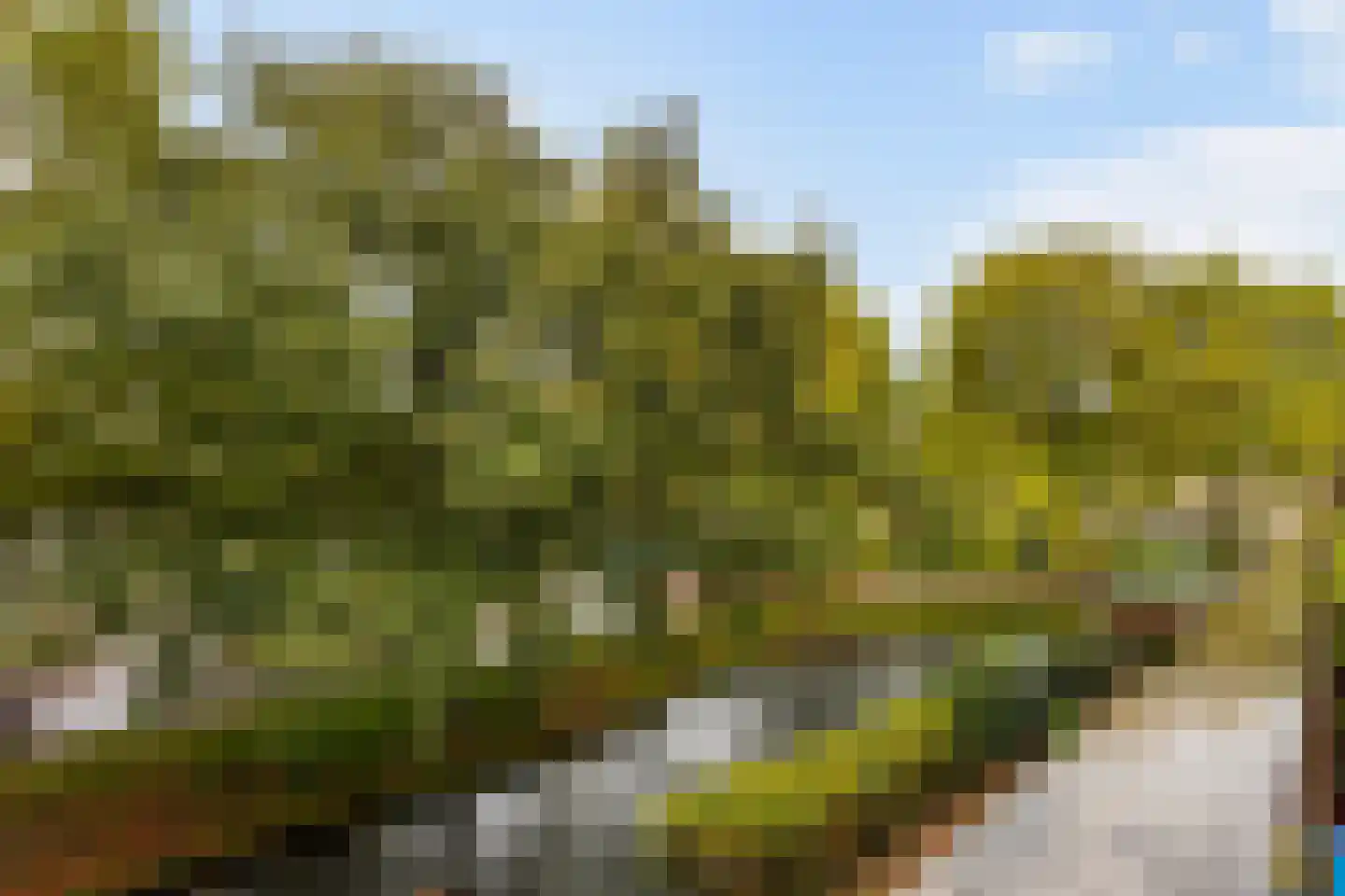 Kraaijesteijn 130 Honselersdijk thumbnail 16