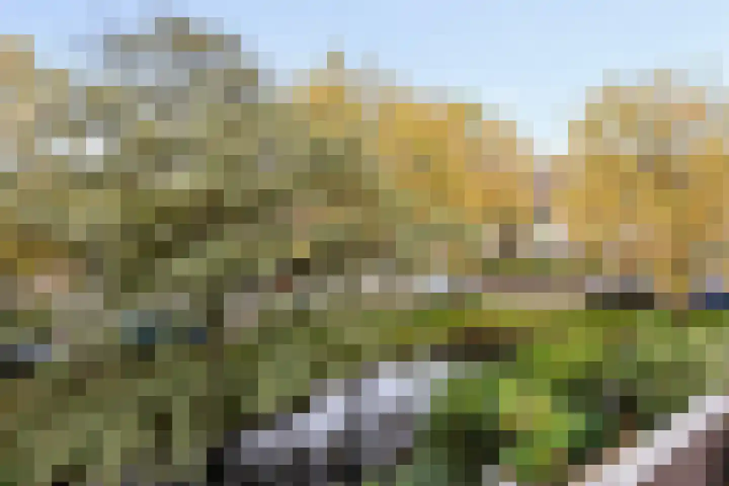 Kraaijesteijn 130 Honselersdijk thumbnail 17